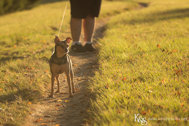 Dallas Family Photographers - K & S Photography Dallas Family Photographers - K & S Photography